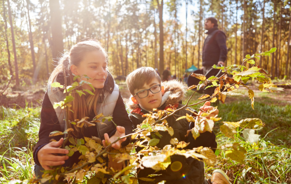 MEC lança curso de educação infantil ambiental